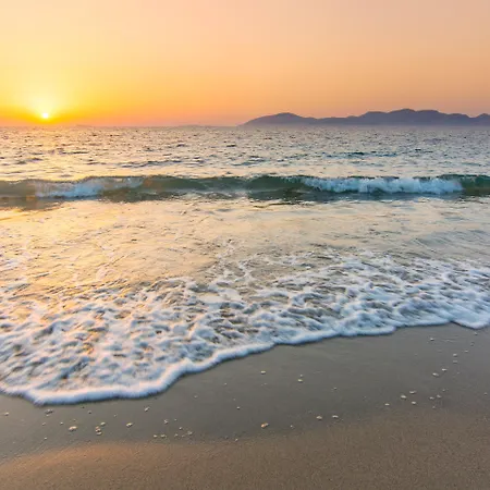 Kouros Palace Active Lifestyle 酒店 5*