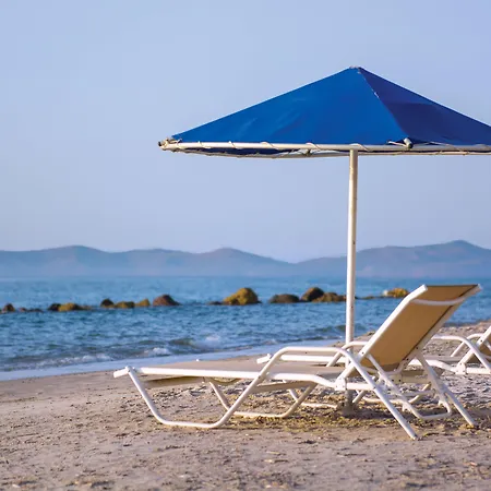 酒店 Kouros Palace Active Lifestyle